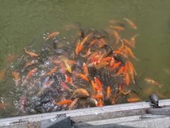 -忆螺巷螺蛳粉(步行街小巷店)