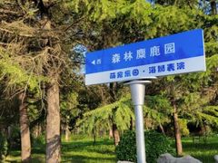 -渡海小渔村.老辈日照菜