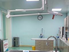 -北京观赏动物医院·24小时大型综合·猫专科·异宠专科