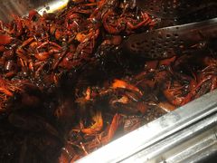 -炽真·果木窑烤自助牛排馆儿(和平欧乐店)
