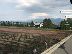 -富田农场