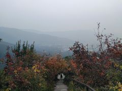 -香山公园
