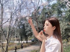 -武汉大学-樱园