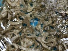 -蟹谢蒸鲜自助餐厅