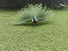 -昆明动物园