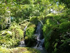 -Chom Cafe and Restaurant