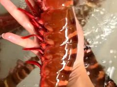 -田大厨海鲜超市(万豪店)