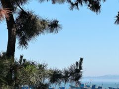 -海源公园
