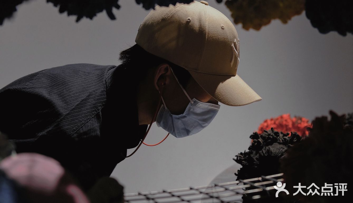 深圳展览｜潮流太空舱艺术大展·紧急迫降