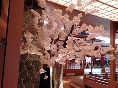 -蓝鲸湾汤泉(包河店)