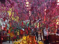 iphone_upload_pic-顺风山庄(水濂山店)