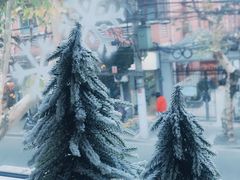 -蝶舍·MAISON PAPILLON