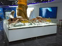 -亚龙湾中心广场