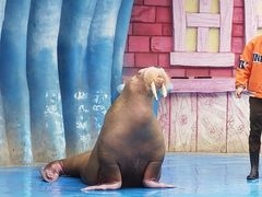 -华夏文旅海洋公园