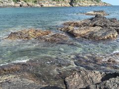 -红月湾海鲜饭店•沙滩海景(双月湾店)