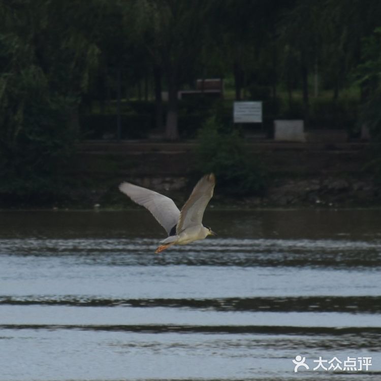 沈水湾公园