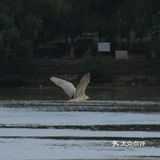 沈水湾公园