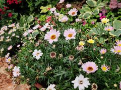 -斯多格书乡(北京大学畅春园店)