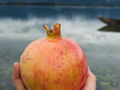 -黑妹冕宁火盆烧烤(西昌店)