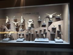 -大庆市博物馆