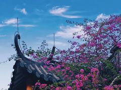 -岭南和园
