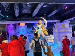 -海合安成都极地海洋公园
