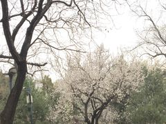 -长辛店二七公园