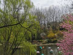 -棒棰岛宾馆景区
