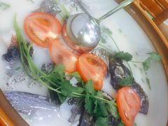 -全乐鱼馆·淳牌有机鱼直营店