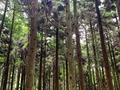 -罗田薄刀峰风景区