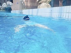-天山海世界·米立方