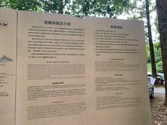-灵栖洞天
