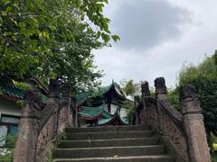 -桂湖森林公园