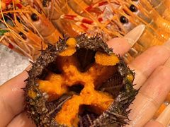 -贵木日本料理·铁板烧(新地假日广场店)