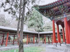 -晋祠公园