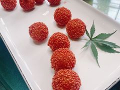 -常州花鸟园酒店(西太湖品牌优选店)