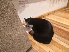 -猫的天空之城概念书店(杭州南宋御街店)