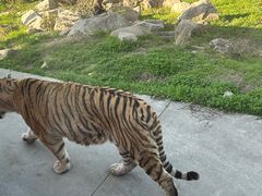 -西安秦岭野生动物园