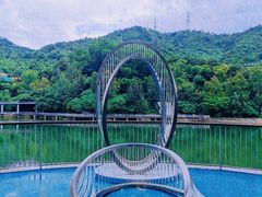 -银湖山郊野公园-相思林