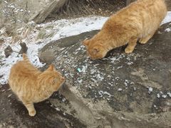 -终南山南五台景区