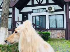 -太阳岛度假酒店