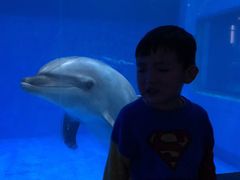 -华夏文旅海洋公园