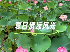 -沐仙湖湿地公园