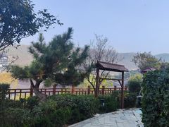-徂徕山森林康养度假谷温泉