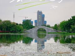 -映月湖公园