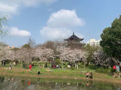 -堤角公园