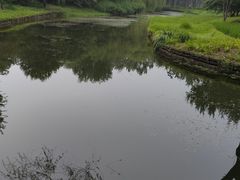 -北坞公园