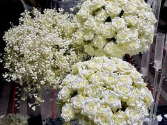 -青岛富力艾美酒店