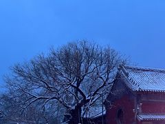 -泰山风景名胜区