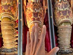 -盛华世家商业广场农贸水产综合批发市场